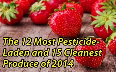 dirty dozen strawberries