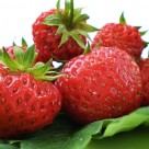 Blueberries, Strawberries Cut Heart Attack Risk by 1/3 Blueberries, Strawberries Cut Heart Attack Risk by 1/3