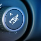 Stress Found to Shrink Important Regions of the Brain Stress Found to Shrink Important Regions of the Brain