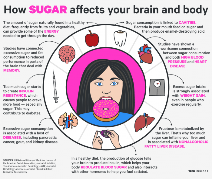 The Effects Of Sugar Water On Plants