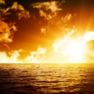 How to Boost Your Vitamin D Intake How to Boost Your Vitamin D Intake