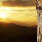 Vitamin D Shown to be Helpful in Treatment of TB Vitamin D Shown to be Helpful in Treatment of TB
