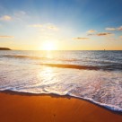 Vitamin D Deficiencies Linked to Muscle Injuries and Alzheimer’s Vitamin D Deficiencies Linked to Muscle Injuries and Alzheimer’s