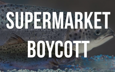 supermarket gm salmon