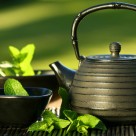 Tea Could Help with Weight Loss Tea Could Help with Weight Loss