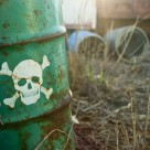 Going Against Nature: USDA Found to be Exterminating Bees, Crops, and Birds Going Against Nature: USDA Found to be Exterminating Bees, Crops, and Birds