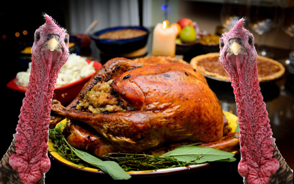 Porque el pavo es tradicion en thanksgiving