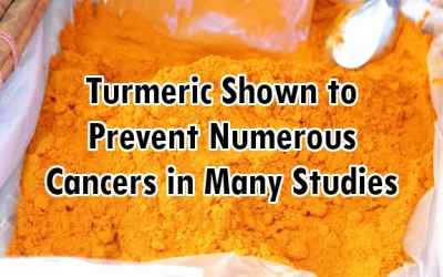 turmeric powder