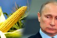 Russia Bans All U.S. Corn and Soy Imports Due to GMO Contamination