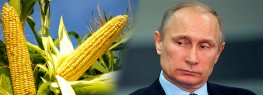 Russia Bans All U.S. Corn and Soy Imports Due to GMO Contamination