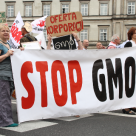 Washington County Bans Growing of GMOs Washington County Bans Growing of GMOs