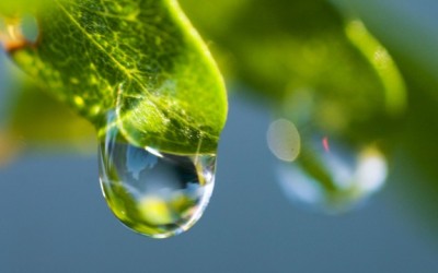 water drip