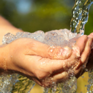 Why You Absolutely Must Personally Treat Your Own Water Why You Absolutely Must Personally Treat Your Own Water