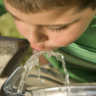 Even Slight Dehydration Impacts Brain Function, Mood, and Energy Even Slight Dehydration Impacts Brain Function, Mood, and Energy