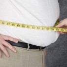 Fructose Found to Cause Overeating and Fat Gain, Study Says Fructose Found to Cause Overeating and Fat Gain, Study Says