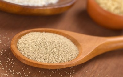 active dry yeast