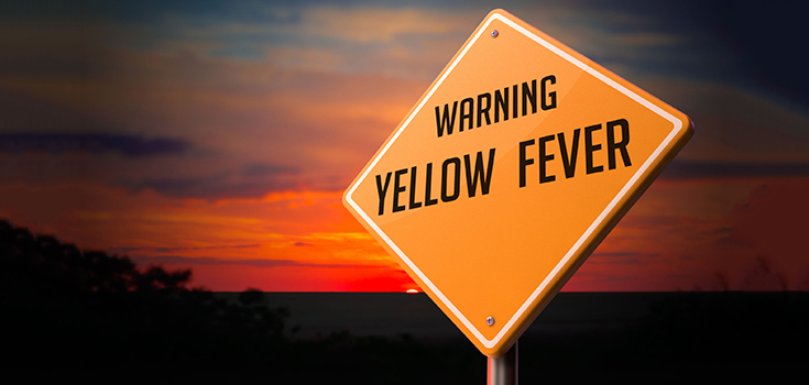 yellow fever
