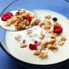 What are Probiotics: Something Everyone Needs to Know What are Probiotics: Something Everyone Needs to Know