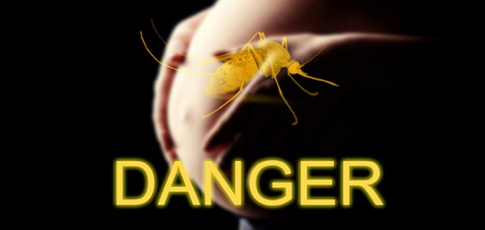 zika, pregnant