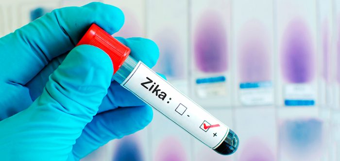 zika virus