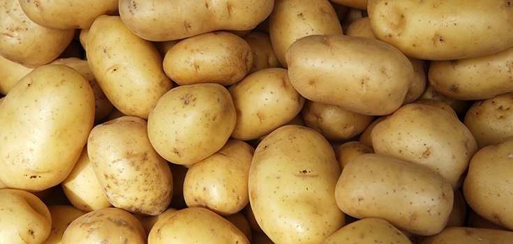 Ireland Allows Iconic Potato to be Genetically Modified