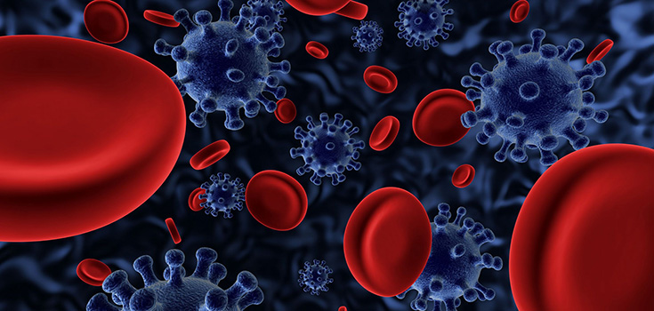 red blood cells and virus