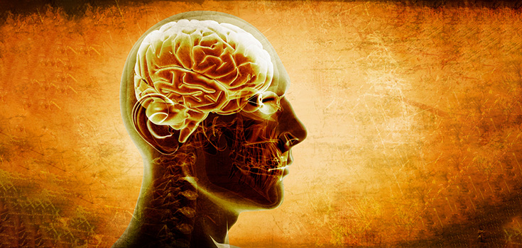 Common Vitamin Deficiency Linked to Brain Shrinkage