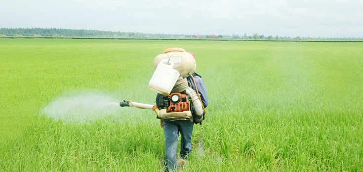 pesticides sprayed in field