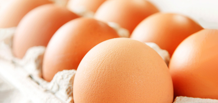 The Nutritional Power of Eggs in Your Diet