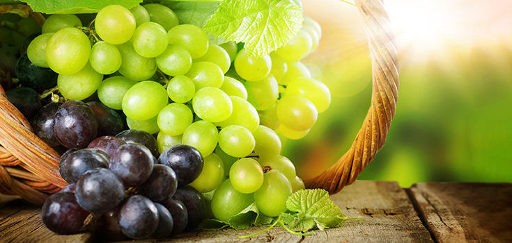 Grapes Provide Powerful Vision-Promoting Properties