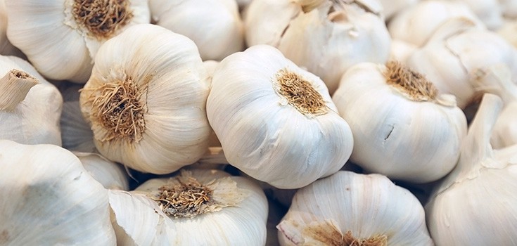 Garlic Provides Natural Protection Against Cancer and Infections