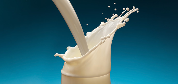 No Justice Allowed? Raw Milk Provider Held on $1 Million Bail