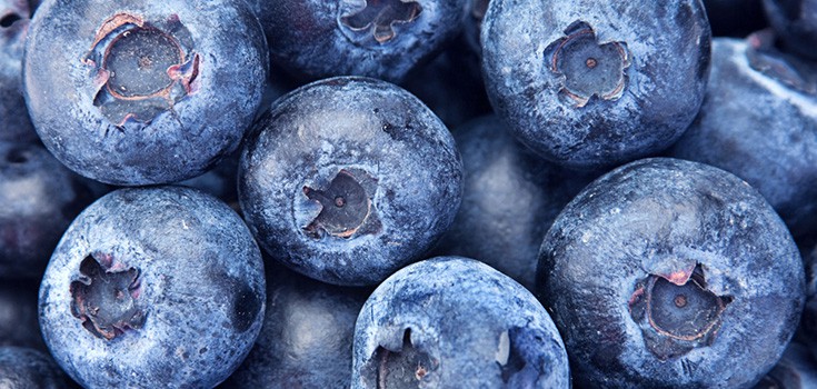 Blueberries Found to Help Build Stronger Bones