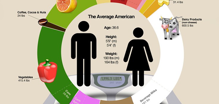 Average American Diet – Infographic