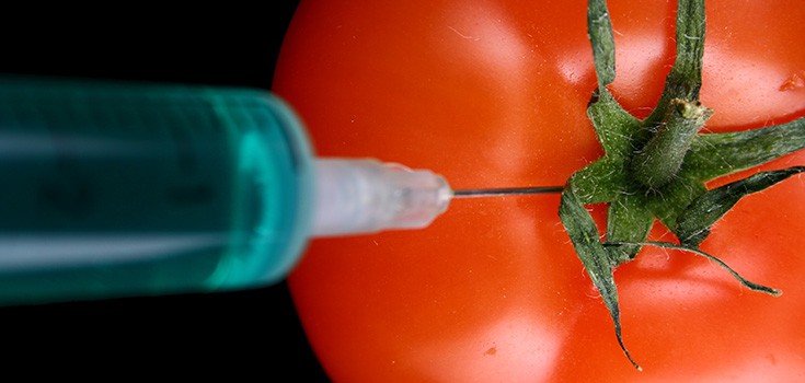 Safety Group Blows Lid on ‘Secret Virus’ Hidden in GMO Crops