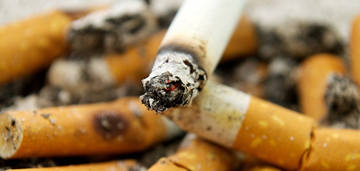 Quit Smoking Naturally by Consuming More of These Foods