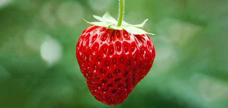 ‘Strawberry Flavor’ Consists of 50 Different Chemicals