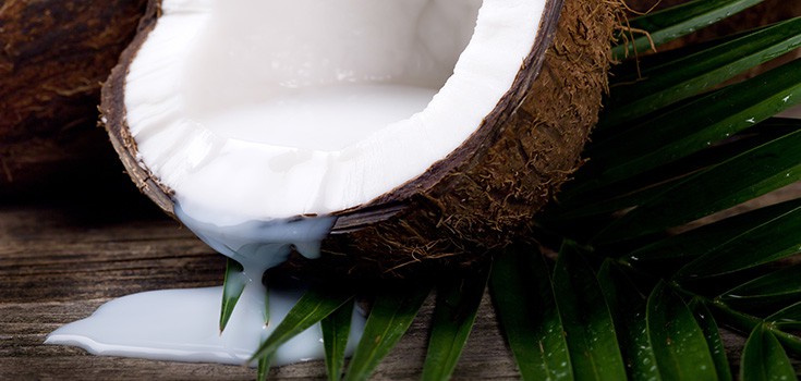 Coconut Oil and Alzheimer’s – Preventing and Reversing Alzheimer’s Disease