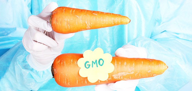 Monsanto Launches Massive Campaign to Stop GMO Labeling
