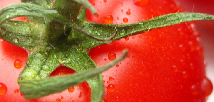 Organic Tomatoes Contain More Nutrients, Antioxidants than Traditional