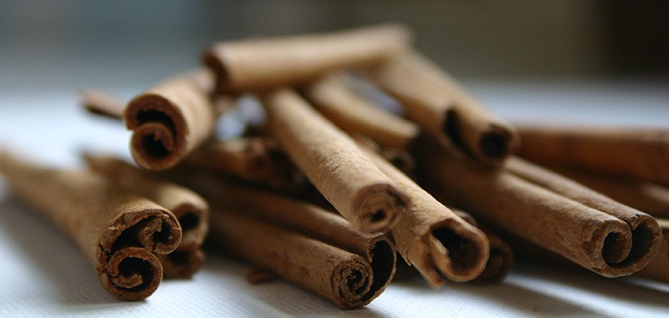 bundle of cinnamon sticks