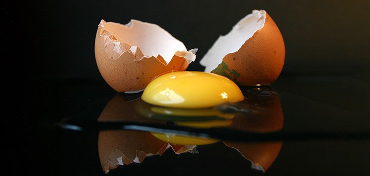 Cracking Up: Debunking the “Eggs as Bad as Cigarettes” Myth
