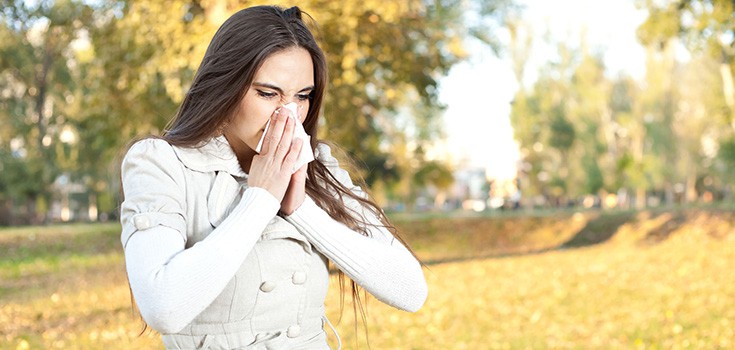 7 Effective Natural Hay Fever Remedies to Beat Ragweed Allergy Season