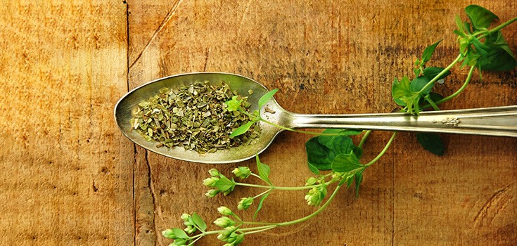 Achieving Simple Weight Loss with Oregano Oil