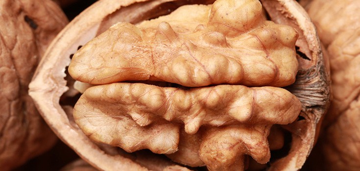 Walnuts Shown to Fight and Prevent Breast Cancer, and More