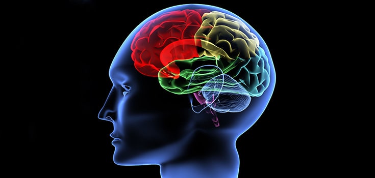New Study: Feel-Good Hormone Dopamine may Boost Memory