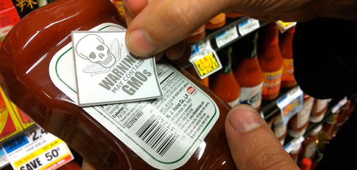 Grassroots: After GMO Labeling Shot Down, Citizens Start Labeling Themselves