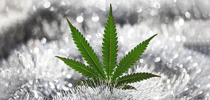 Washington, Colorado Become First States to Legalize Marijuana for Recreational Use