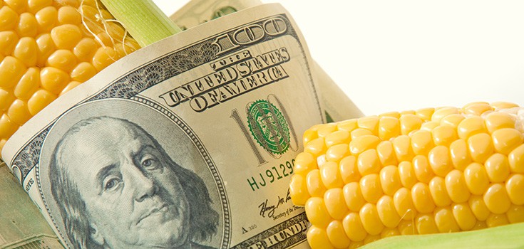 Monsanto Funded Anti-GMO Labeling Campaign Gets Away with Impersonating Govt. Agencies