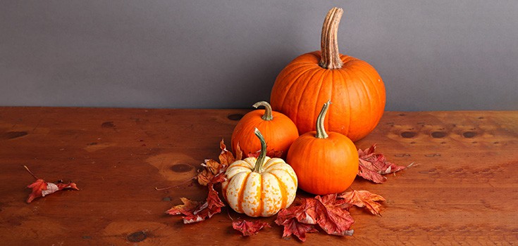 Health Benefits of Pumpkins – Weight Loss, Healthy Vision, and More